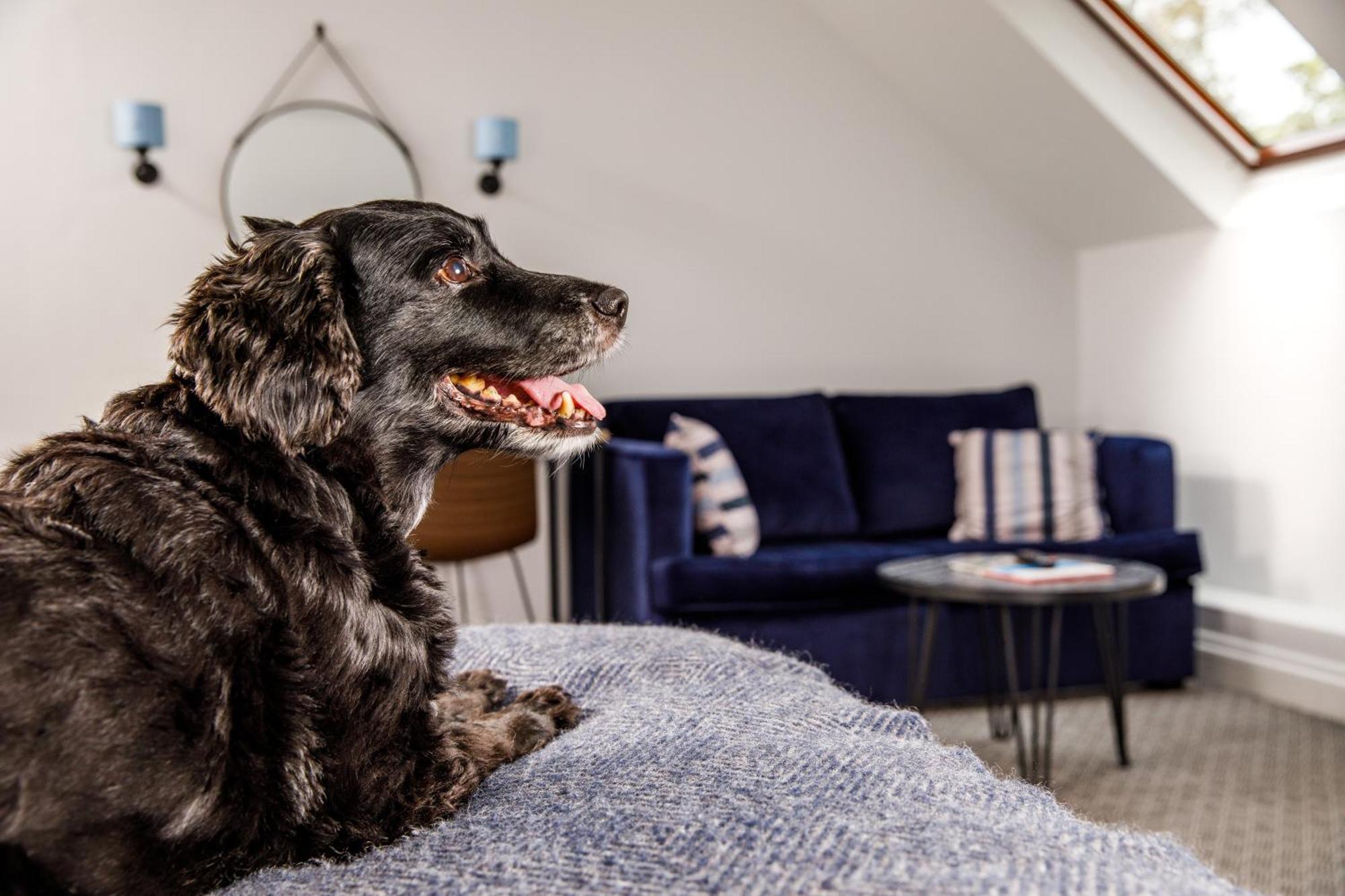Mercure Hawkwell House 4* Oxford